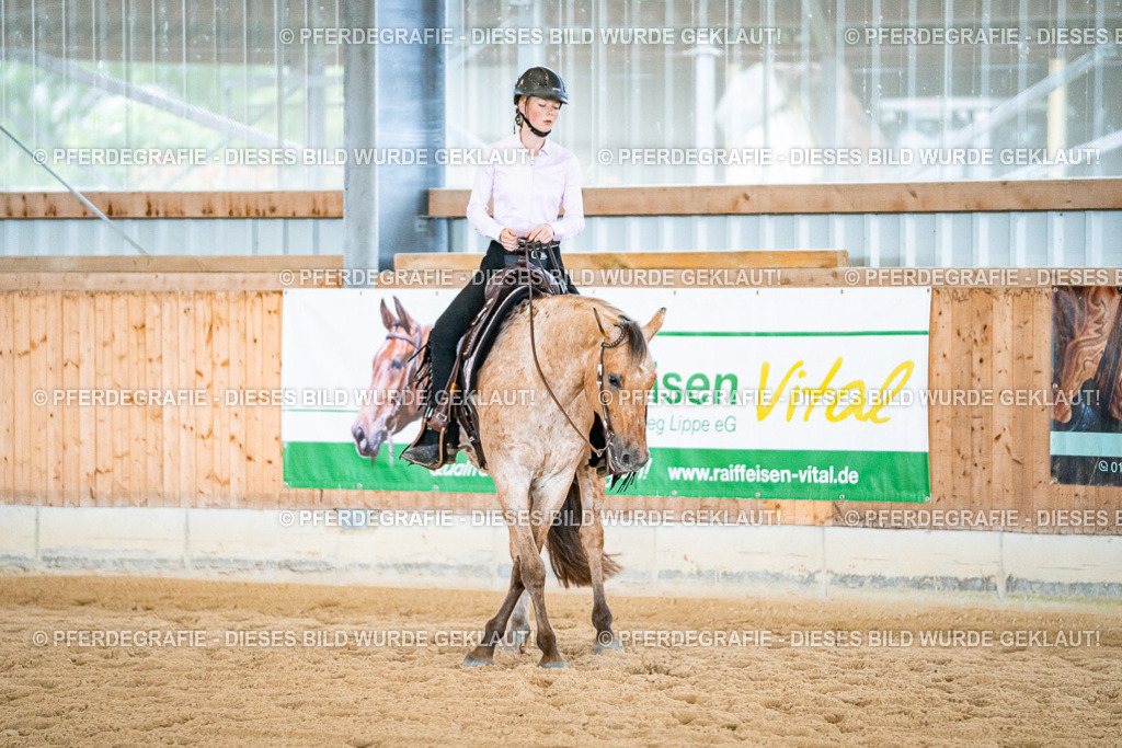 DSC02571 | Pferdegrafie