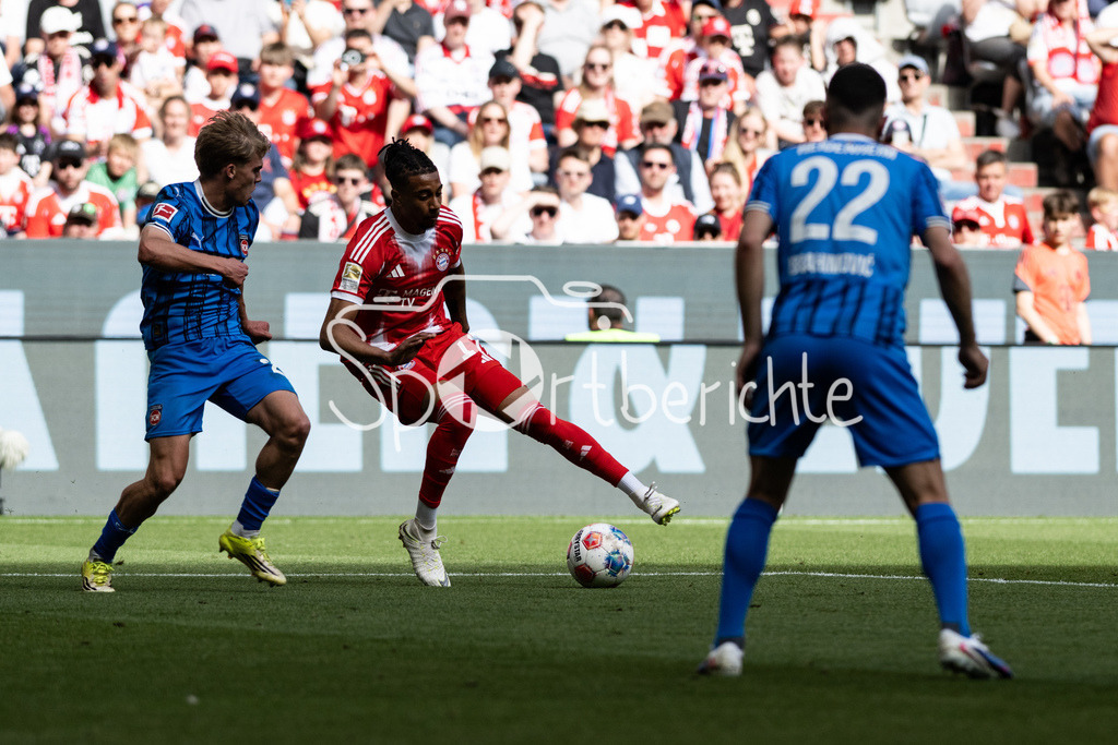 FC Bayern München - 1. FC Heidenheim | MUNICH, GERMANY - 02. MAI: im Duell Hennes BEHRENS (1. FC Heidenheim 26) und fc17 während dem Bundesligamatch zwischen dem FC Bayern München und dem 1. FC Heidenheim am 32. Spieltag in der Allianz Arena / DFL REGULATIONS PROHIBIT ANY USE OF PHOTOGRAPHS AS IMAGE SEQUENCES AND/OR QUASI-VIDEO