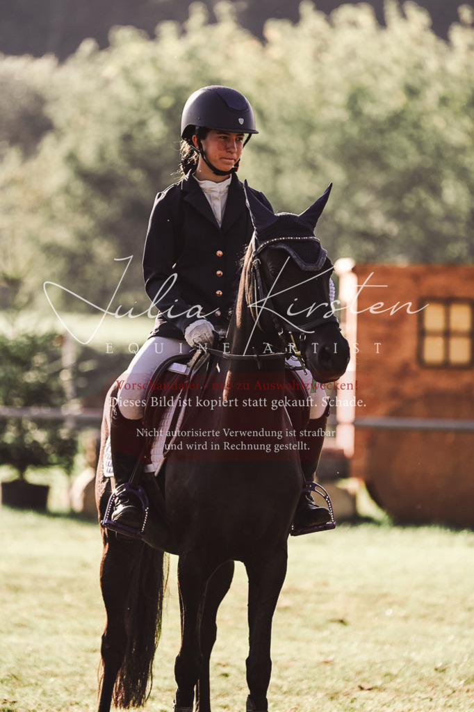DSC_4622 | Pferde- und Turnierfotografie in Westsachsen. Pferdeportraits, Auftragszeichnungen und intuitive Kunst.