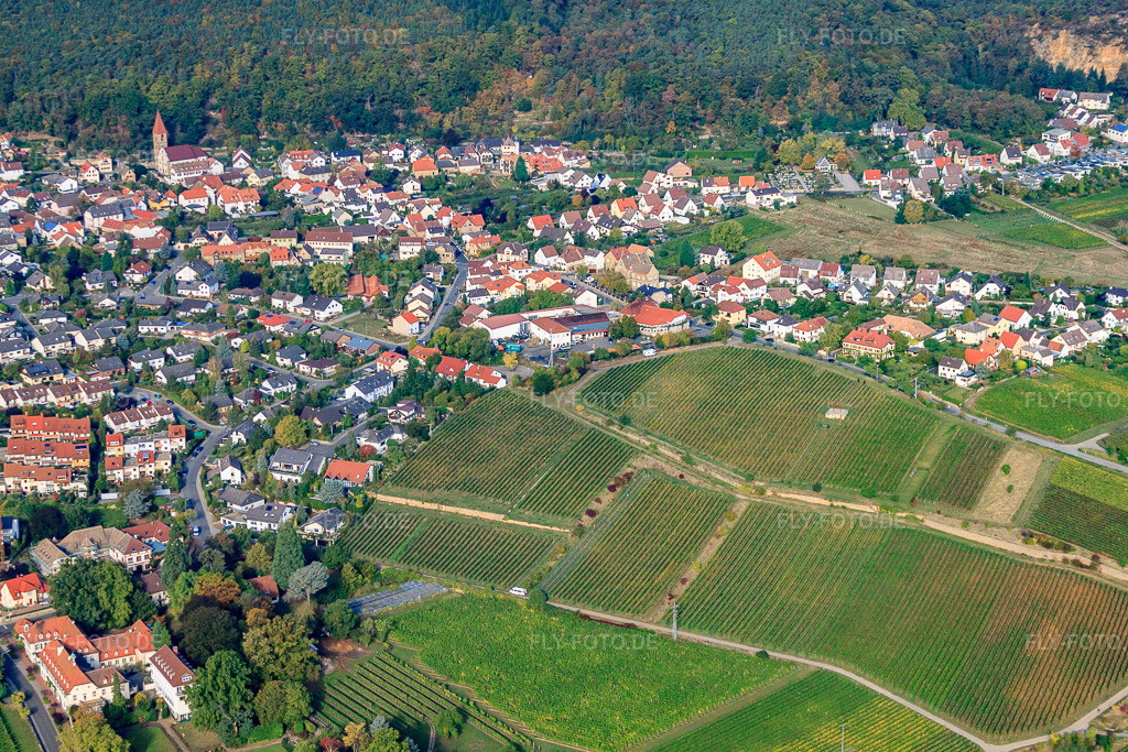 Luftbild: Ortsansicht aus Osten mit Weinland Königsbach-Neustadt GmbH im Ortsteil Königsbach in Neustadt im Bundesland Rheinland-Pfalz in Deutschland. Foto: IMG_22038.jpg vom 15.10.2009 durch Werner Riehm/FLY-FOTO.deWeinland Königsbach