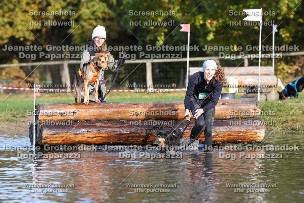 Dog Paparazzi - Strongdog 10-25-8413 | Dog Paparazzi Jeanette Grottendiek Fotografie & Videografie - Realisiert mit Pictrs.com