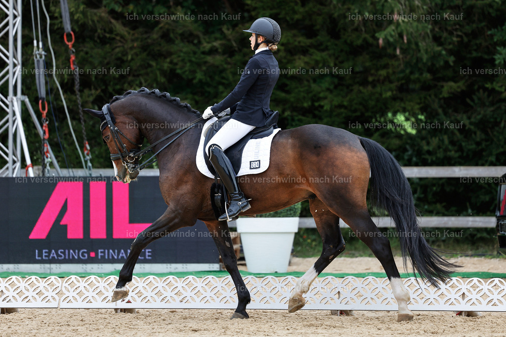 3-224-Dressur M_-StoibPH-2520 | working equitationturnier fotograf videograf stoibphotography marixx film working equitation deutschland reitsport turnierfotografie eventfotografie equestrian events