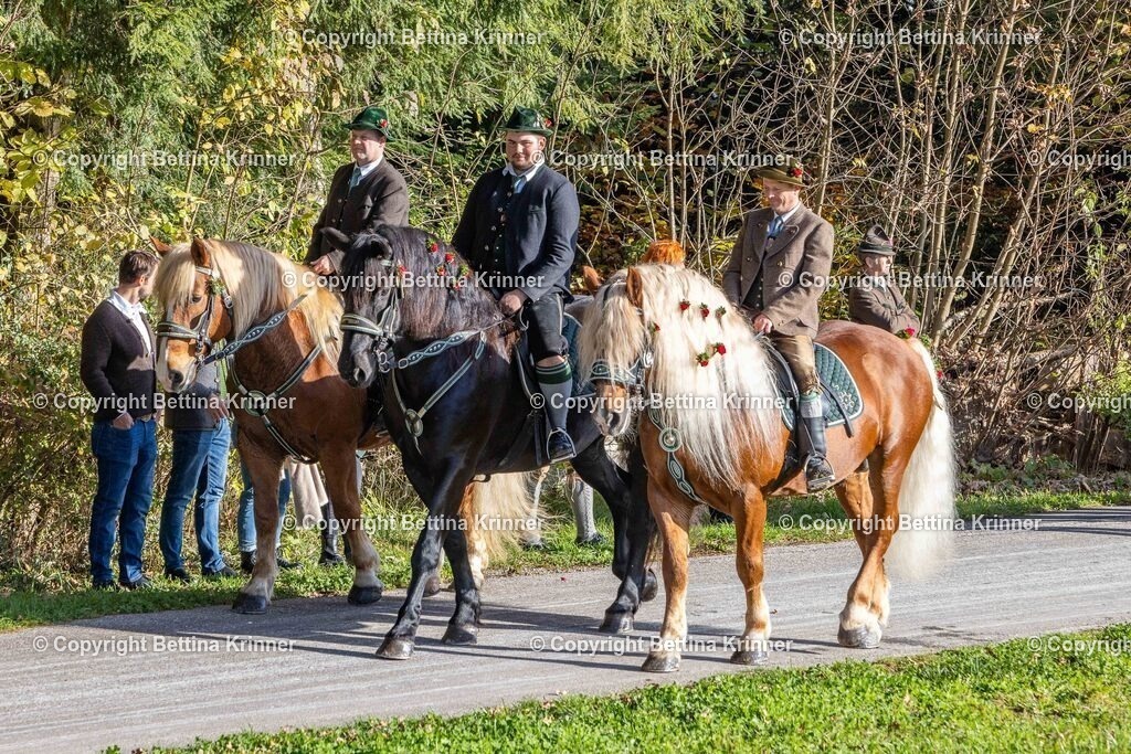 LBT24-242 | foto-bettina-krinner - Realisiert mit Pictrs.com