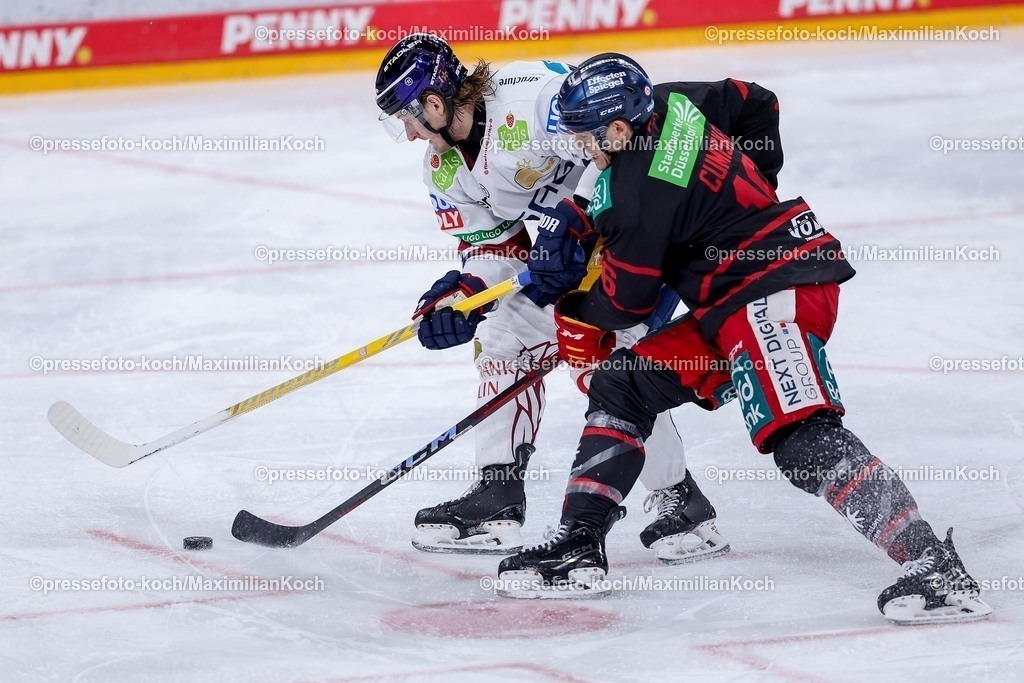 DEG12012501033 | 12.01.2025, Eishockey, Penny DEL, Düsseldorfer EG - Eisbären Berlin, PSD-BANK Dome: Manuel Wiederer (Eisbären Berlin #21) im Zweikampf gegen Kyle Cumiskey (DEG #16)