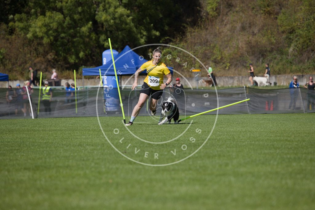 0L8A5848 | Hundefotografie, Tierfotograf, Pfotenfotografie, Fotoshooting Hund, Hunde Portrait, Hundesport, Hundeportraits, Heideshooting, Hunde, Sportfotograf, Hundefotograf, Turnierhundsport, THS,  - Realisiert mit Pictrs.com