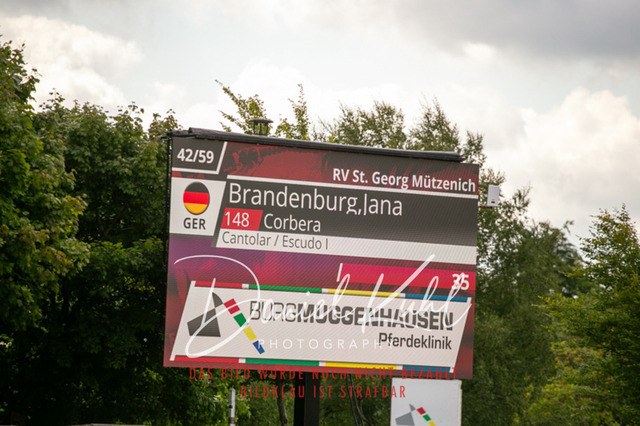 IMG_5501 | Turniersportfotografie; Pferdefotografie; Dressurfotografie