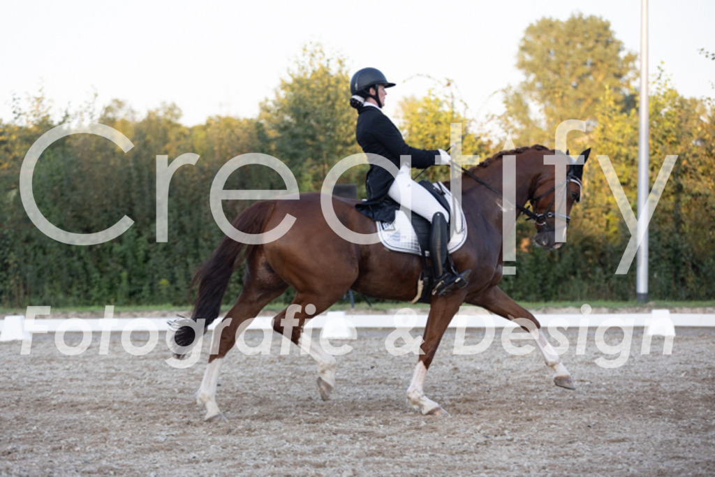 IMG_1870 | Creatify Fotografie