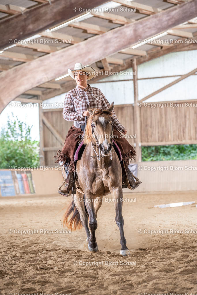 LMB06047 | BS-foto