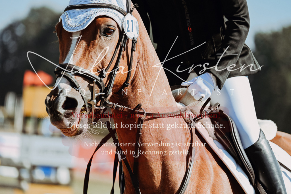 DSC_9591 | Pferde- und Turnierfotografie in Westsachsen. Pferdeportraits, Auftragszeichnungen und intuitive Kunst.
