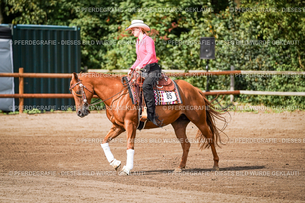 DSC09341 | Pferdegrafie