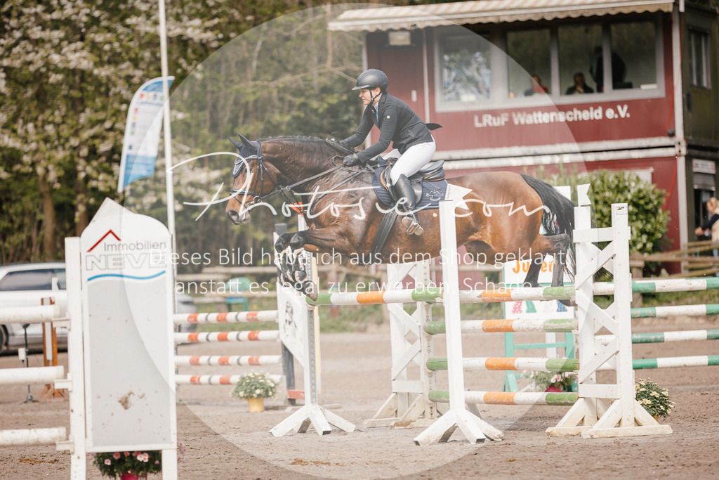 3I6A4168 | Stimmungsvolle Portraits und Reitsportfotografie im Ruhrgebiet und im Münsterland.

Pferdefotografie, Hundefotografie, Tierfotografie, Reportagen, Portraits von Tier und Mensch, Turnierfotografie in Bochum, Recklinghausen, Marl, Haltern am See, Dülmen.. - Realisiert mit Pictrs.com