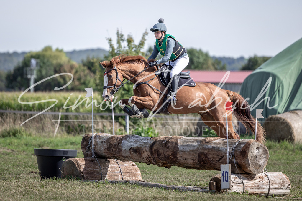 20250907-_3LI1808 | Tierfotografie Pferde, Hunde, Katzen, Haustiere.
Turnierfotografie Reitturniere, Reiten, Springreiten, Dressur in Hanau, dem Main-Kinzig-Kreis und dem Rhein-Main- Gebiet um Frankfurt
