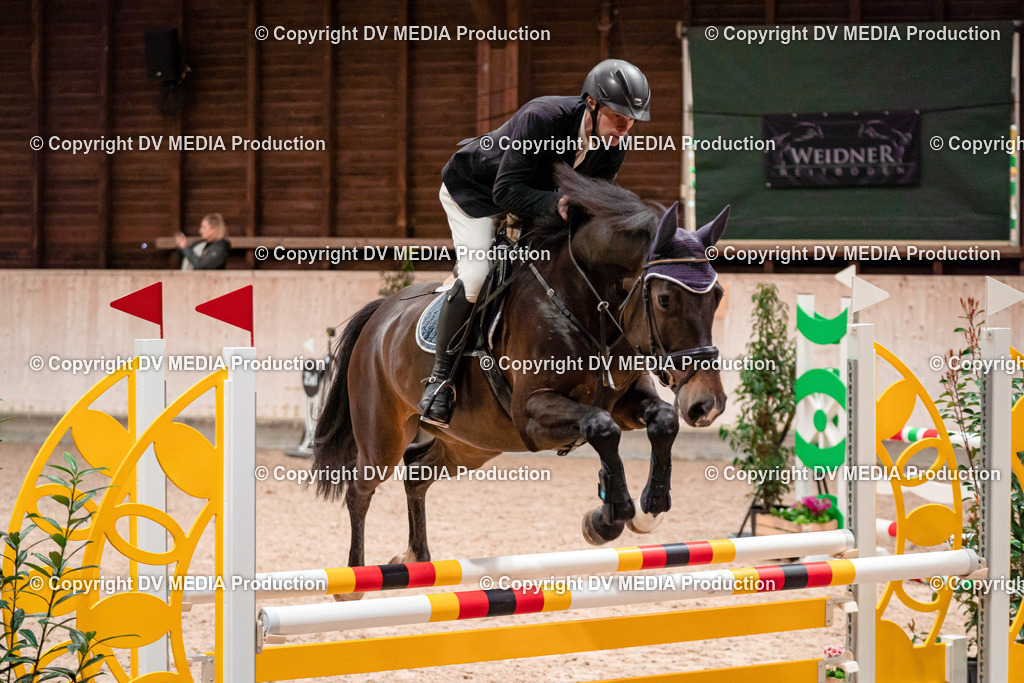 Springen Tag 1-04 | dv-media-shop - Realisiert mit Pictrs.com