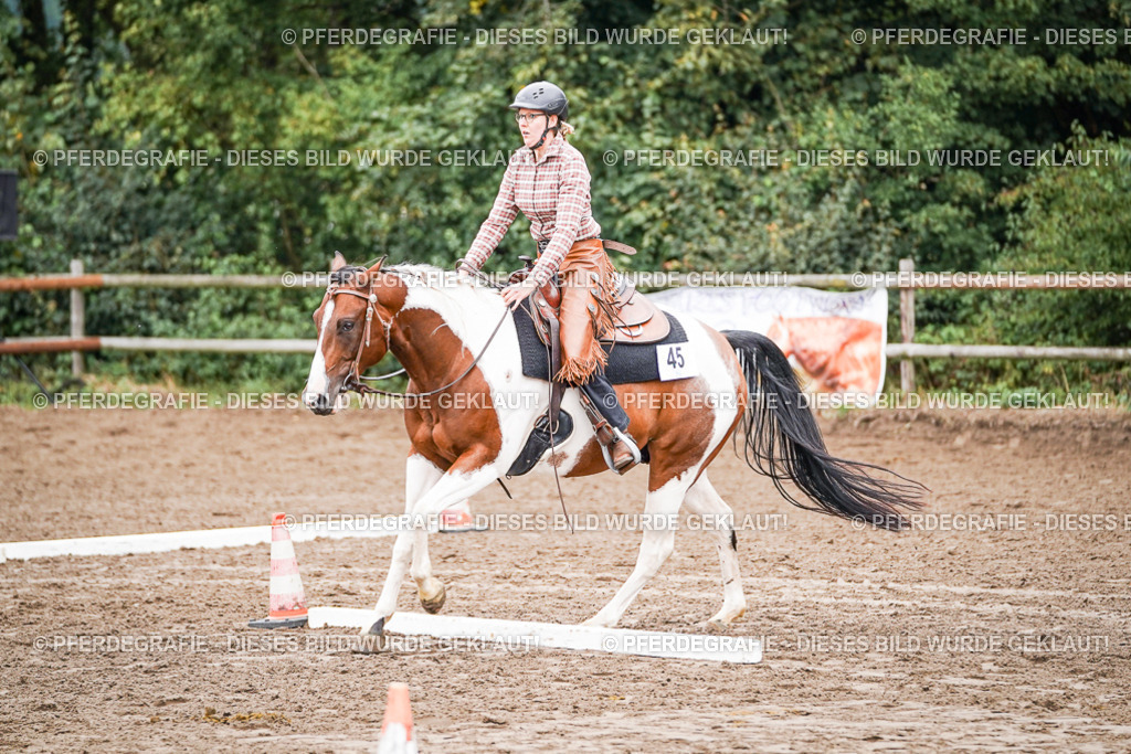 DSC02781 | Pferdegrafie