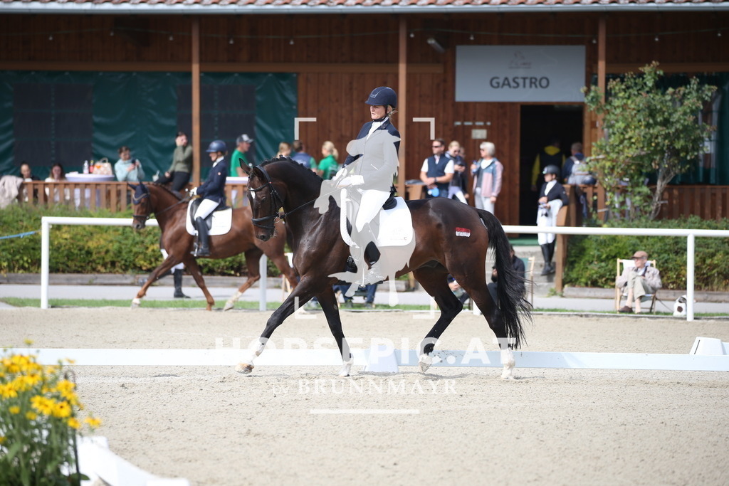 DL2Q2905 | Willkommen bei Brunnmayr - Design & Fotografie – Ihrem Spezialisten für Reitturniere und Pferdeveranstaltungen in Oberösterreich, Salzburg und Bayern! Seit über 17 Jahren sind wir leidenschaftlich dabei.
