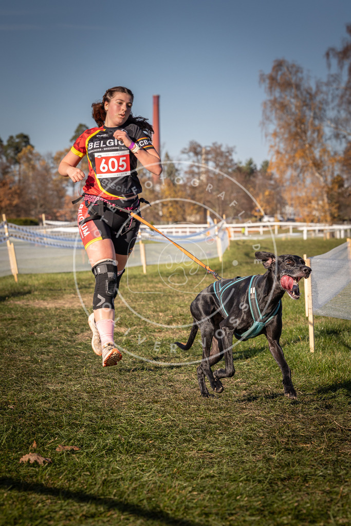 CaniXpix_0L8A8656 | Hundefotografie, Tierfotograf, Pfotenfotografie, Fotoshooting Hund, Hunde Portrait, Hundesport, Hundeportraits, Heideshooting, Hunde, Sportfotograf, Hundefotograf, Turnierhundsport, THS,  - Realisiert mit Pictrs.com