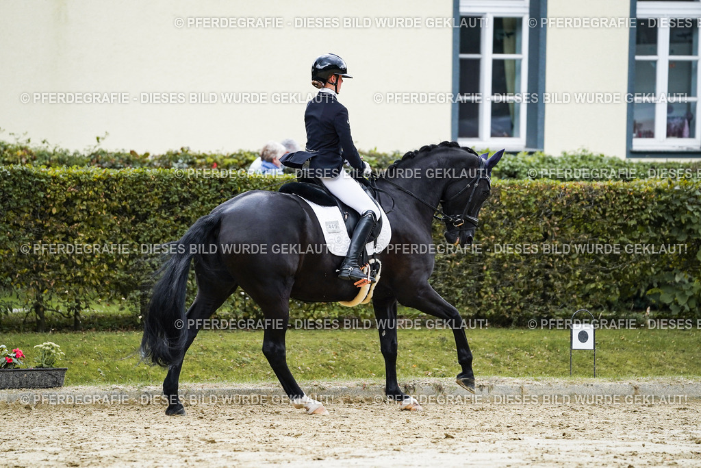 DSC06551 | Pferdegrafie