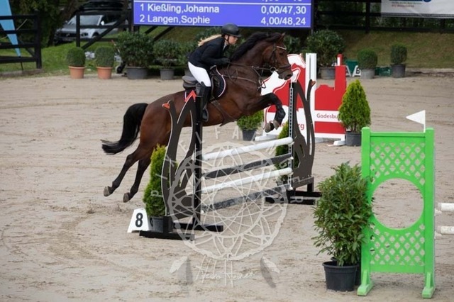 2B4A1446 | pixelfaenger - Realisiert mit Pictrs.com