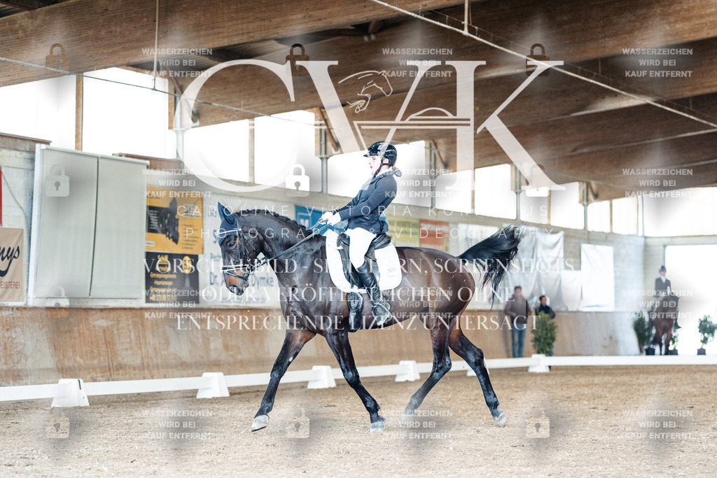 CK901352 | Turnierfotografie Pferdefotografie Trier Rheinland-Pfalz Pferdesport Reitsport Tierfotografie Sportfotografie Pferdevideo Pferdevideografie Equestrianvideography equestrianphotography  - Realisiert mit Pictrs.com