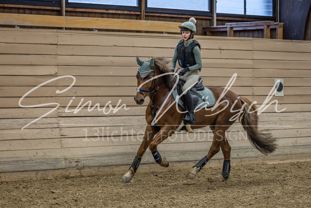 20260222-_3LI0682 | Tierfotografie Pferde, Hunde, Katzen, Haustiere.
Turnierfotografie Reitturniere, Reiten, Springreiten, Dressur in Hanau, dem Main-Kinzig-Kreis und dem Rhein-Main- Gebiet um Frankfurt