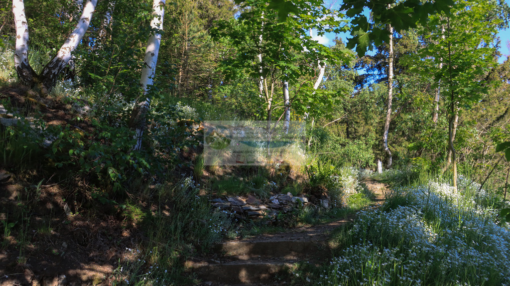 Petersgrat Frühling | Impressionen rund um Hochfranken - Frankenwald - Fichtelgebirge - Realisiert mit Pictrs.com