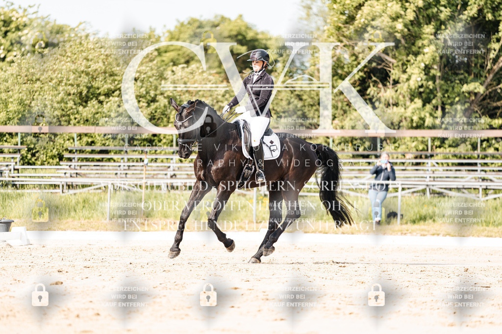 CK900223 | Turnierfotografie Pferdefotografie Trier Rheinland-Pfalz Pferdesport Reitsport Tierfotografie Sportfotografie Pferdevideo Pferdevideografie Equestrianvideography equestrianphotography  - Realisiert mit Pictrs.com