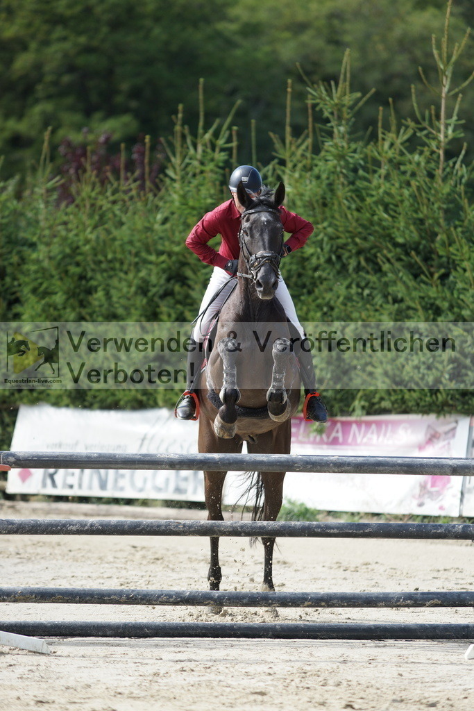 DSC01530 | equestrian-live-com