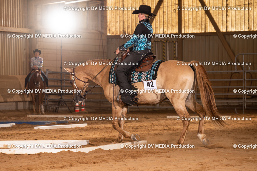 NID00581 | dv-media-shop - Realisiert mit Pictrs.com