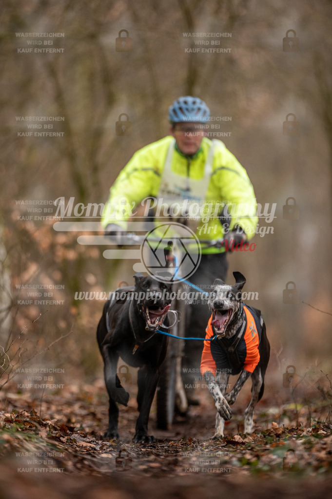 Reiat2023_SON_DS2_8km_2H-17 | PayLife