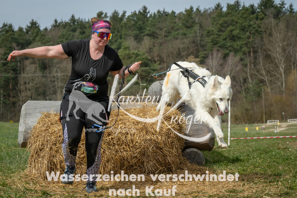 1128_ZZ97256 | kk-dogfotos