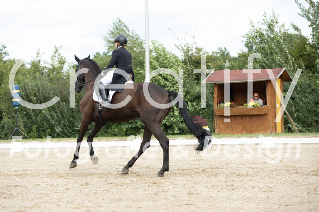 IMG_6870 | Creatify Fotografie