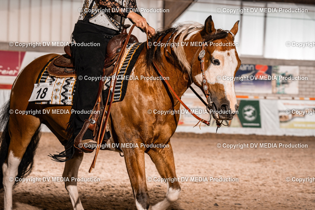 ZH300097 | dv-media-shop - Realisiert mit Pictrs.com