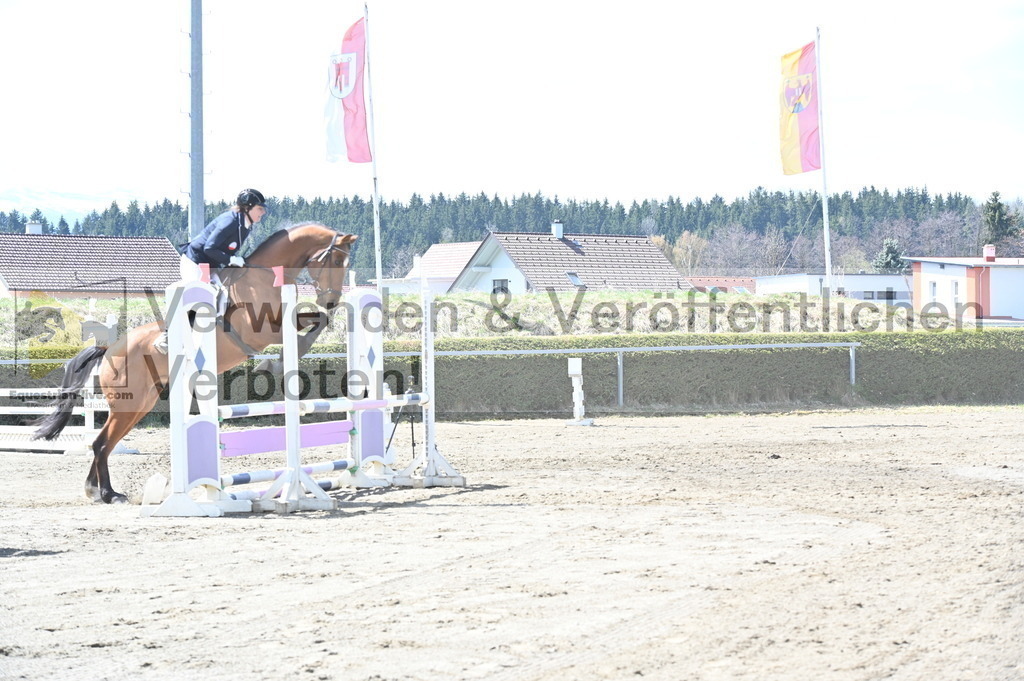 DSC_4823 | equestrian-live-com