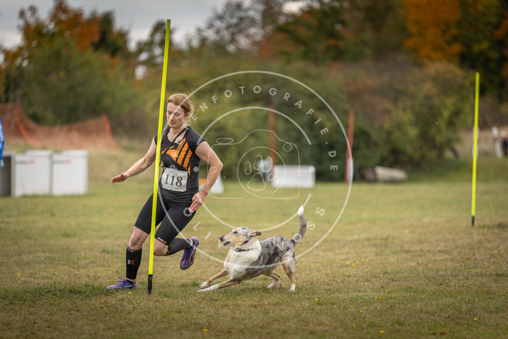 Pfotenfotografie_DV3A7566 | Hundefotografie, Tierfotograf, Pfotenfotografie, Fotoshooting Hund, Hunde Portrait, Hundesport, Hundeportraits, Heideshooting, Hunde, Sportfotograf, Hundefotograf, Turnierhundsport, THS,  - Realisiert mit Pictrs.com