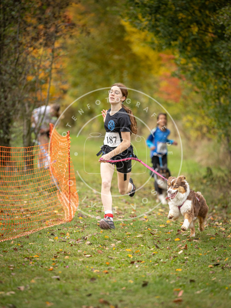 Pfotenfotografie_DV3A3639 | Hundefotografie, Tierfotograf, Pfotenfotografie, Fotoshooting Hund, Hunde Portrait, Hundesport, Hundeportraits, Heideshooting, Hunde, Sportfotograf, Hundefotograf, Turnierhundsport, THS,  - Realisiert mit Pictrs.com