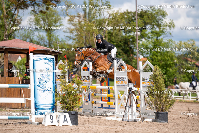 Eppelheim Tag 1-431 | dv-media-shop - Realized with Pictrs.com