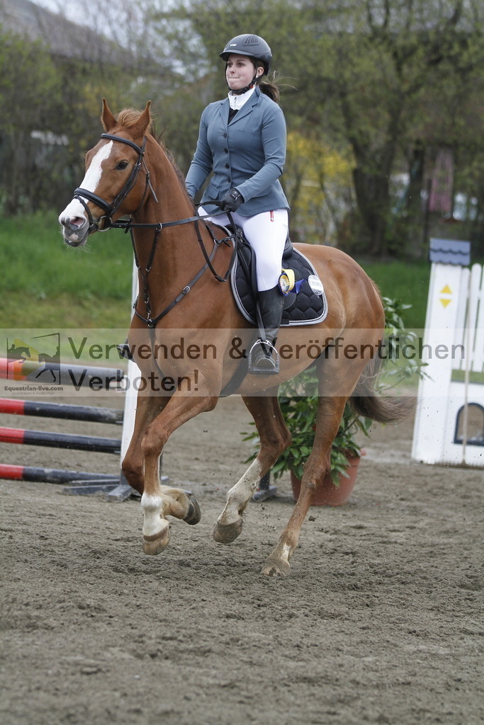 _MG_4625 | equestrian-live-com