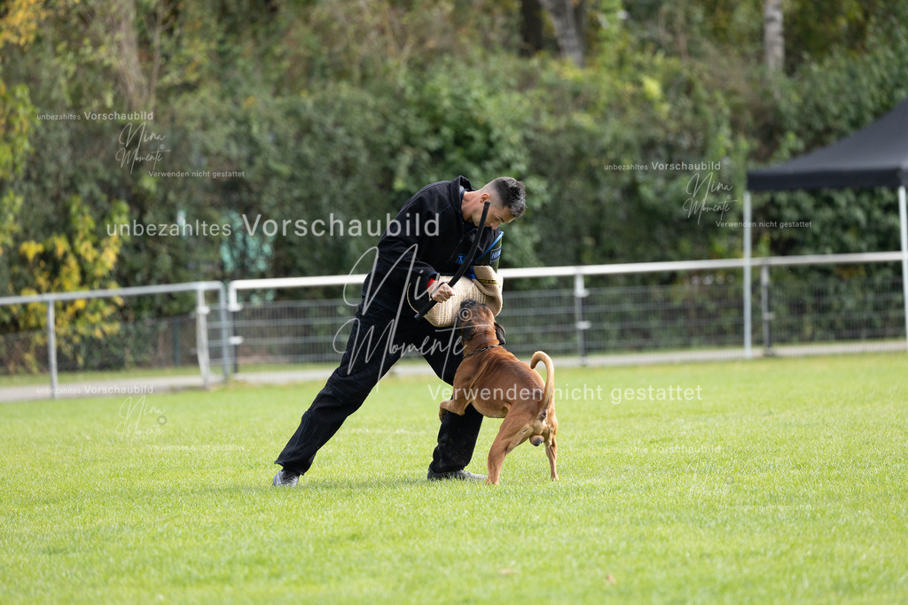 _16A7040 | Einzigartige Fotos von Hunden & Menschen –Actionfotos, Portraits, Vereinsaufnahmen & Paarshootings – authentisch, lebendig & mit Herz.