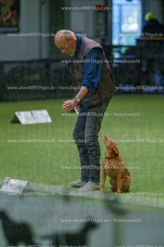 7R507636 | Professionelle Tierfotografie in Mönchengladbach von Daniel Wirth (allesWIRTHgut). Liebevolle & natürliche Bilder von Hunden & Katzen für unvergessliche Erinnerungen.