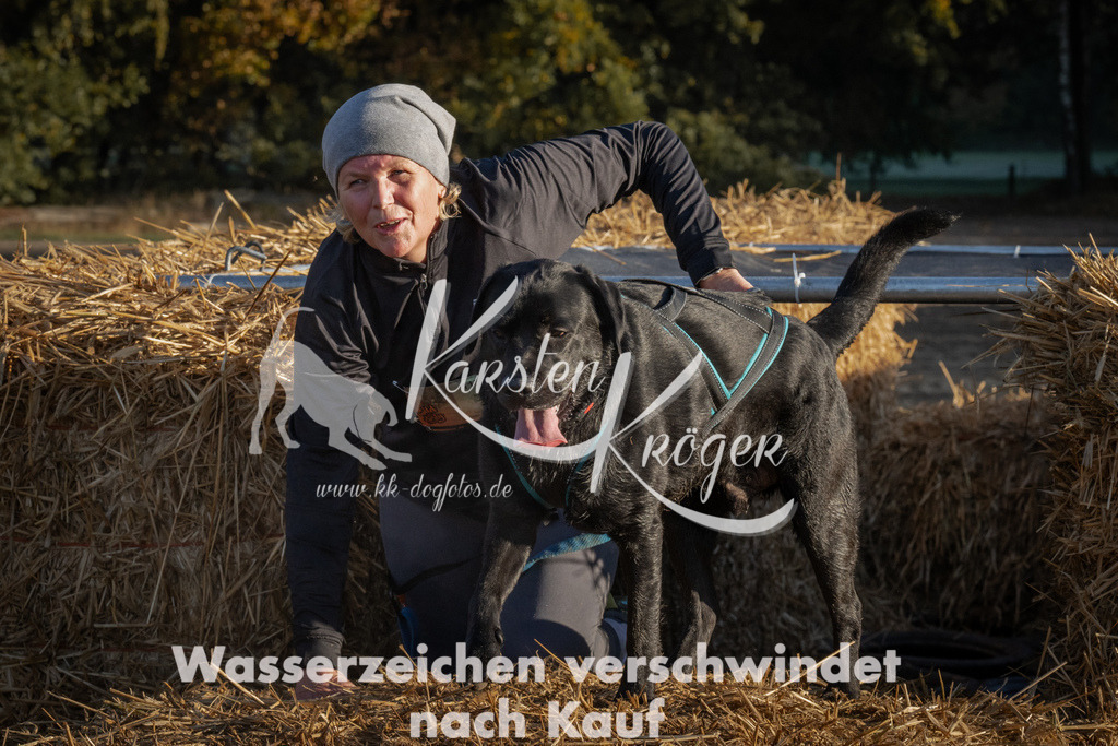 0934_ZZ93698 | kk-dogfotos