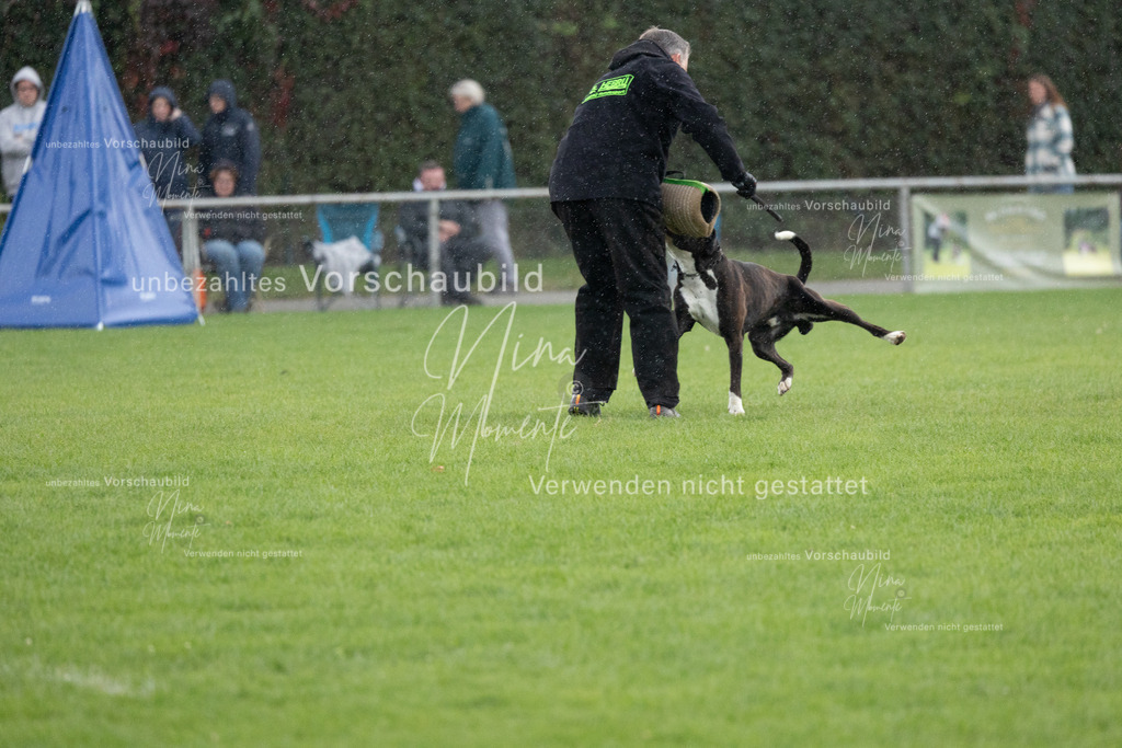 _16A7148 | Einzigartige Fotos von Hunden & Menschen –Actionfotos, Portraits, Vereinsaufnahmen & Paarshootings – authentisch, lebendig & mit Herz.