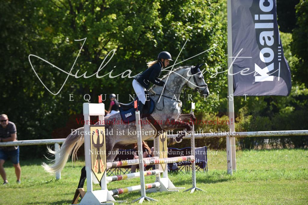 DSC_9142 | Pferde- und Turnierfotografie in Westsachsen. Pferdeportraits, Auftragszeichnungen und intuitive Kunst.
