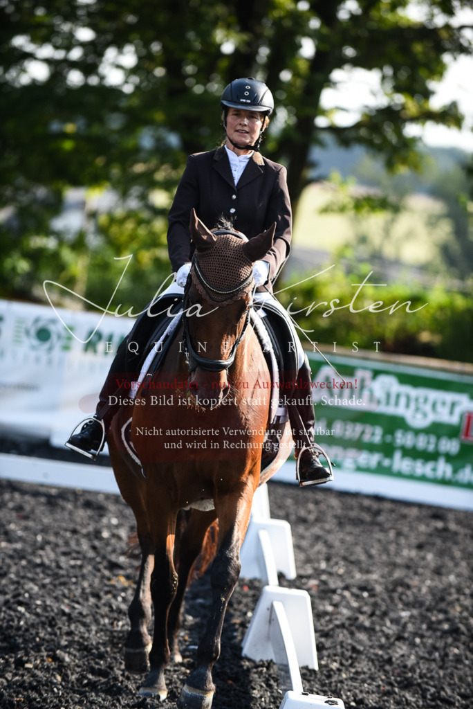 DSC_3231 | Pferde- und Turnierfotografie in Westsachsen. Pferdeportraits, Auftragszeichnungen und intuitive Kunst.