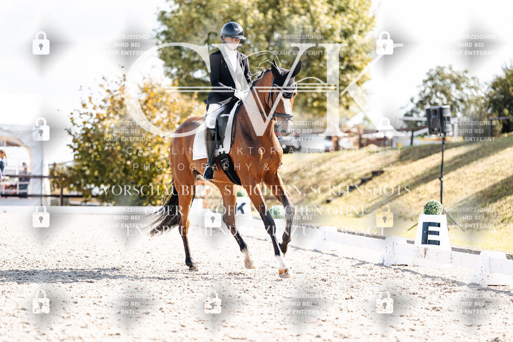 CK902324 | Turnierfotografie Pferdefotografie Trier Rheinland-Pfalz Pferdesport Reitsport Tierfotografie Sportfotografie Pferdevideo Pferdevideografie Equestrianvideography equestrianphotography  - Realisiert mit Pictrs.com