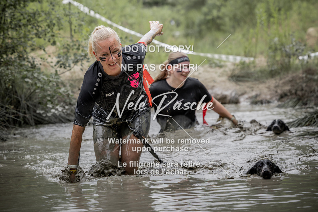 nelerasche_so1445-1515_96 | nelerasche