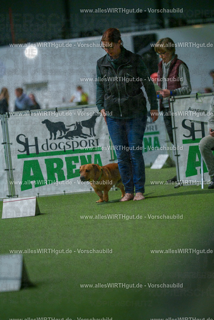 7R502343 | Professionelle Tierfotografie in Mönchengladbach von Daniel Wirth (allesWIRTHgut). Liebevolle & natürliche Bilder von Hunden & Katzen für unvergessliche Erinnerungen.