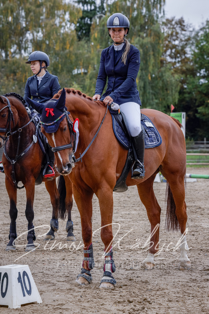 20251012-_3LI4693 | Tierfotografie Pferde, Hunde, Katzen, Haustiere.
Turnierfotografie Reitturniere, Reiten, Springreiten, Dressur in Hanau, dem Main-Kinzig-Kreis und dem Rhein-Main- Gebiet um Frankfurt