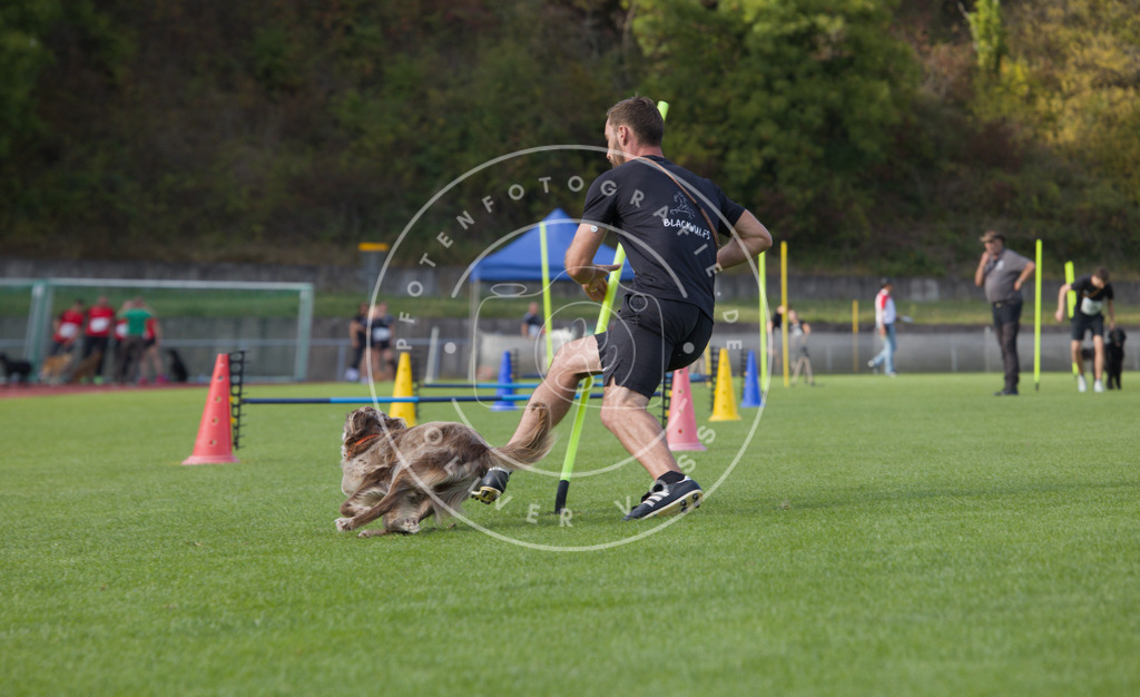 0L8A4065 | Hundefotografie, Tierfotograf, Pfotenfotografie, Fotoshooting Hund, Hunde Portrait, Hundesport, Hundeportraits, Heideshooting, Hunde, Sportfotograf, Hundefotograf, Turnierhundsport, THS,  - Realisiert mit Pictrs.com