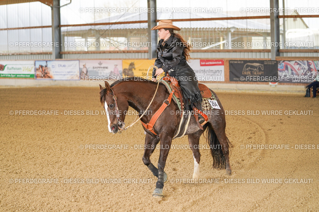 DSC02388 | Pferdegrafie