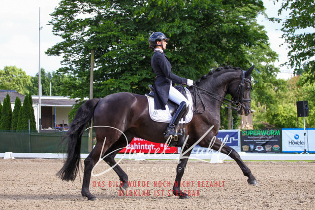 DKP41529 | Deine Turnierfotos vom Reitturnier online kaufen: Dressur, Springen & Siegerehrung. Professionelle Pferdefotografie aus dem Rheinland – als Download & Print.Alternative: Turnierfotograf für den Pferdesport: Finde deine Fotos von Dressur- und Springturnier